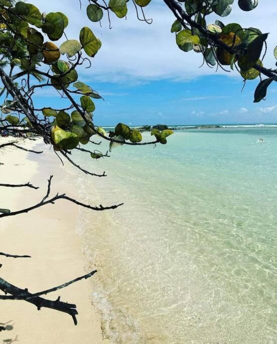 Les Pieds Dans L'Eau Chez Syl Leilighet Le Moule Eksteriør bilde